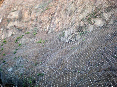 主動防護(hù)網(wǎng)